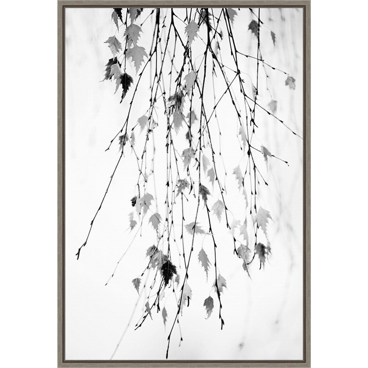 Hanging (Branches) by Rebecca Cozart 16-in. W x 23-in. H. Canvas Wall Art Print Framed in Grey